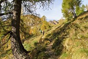 19 Usciti dall'abetaia attraversiamo un rado lariceto colorato d'autunno